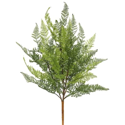 Vickerman 21.5" Green Lace Fern Bush