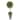 Vickerman 21" Green Cedar Everyday Topiary