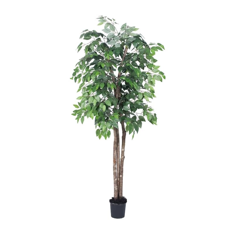 Vickerman 6 Green Ficus Everyday Tree - Green - 6 - Artificial Plants and Flowers