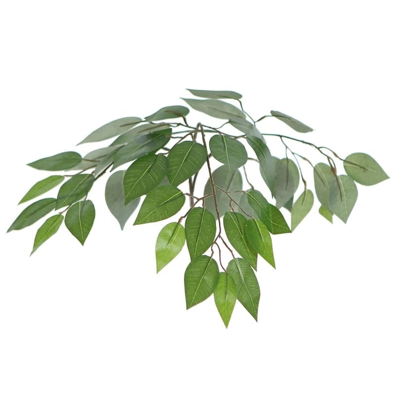 Vickerman 6 Green Ficus Everyday Tree