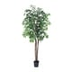 Vickerman 6 Green Ficus Everyday Tree - Bed Bath & Beyond - 20694700