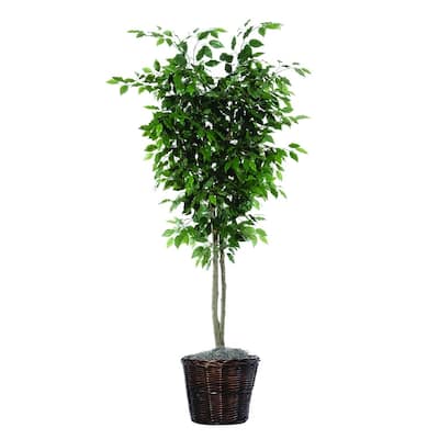 Vickerman 6' Green Ficus Everyday Tree