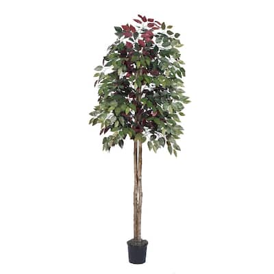 Vickerman 6' Green and Red Capensia Everyday Tree - green / red