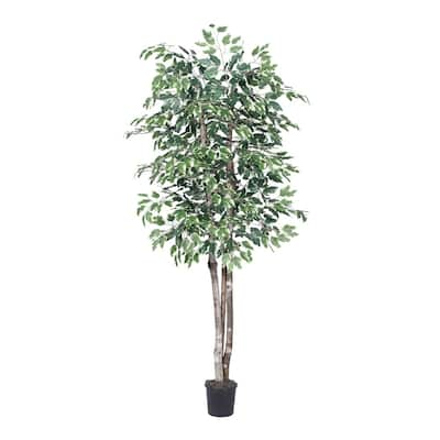 Vickerman 6' Green and White Variegated Ficus Everyday Tree - Green / White