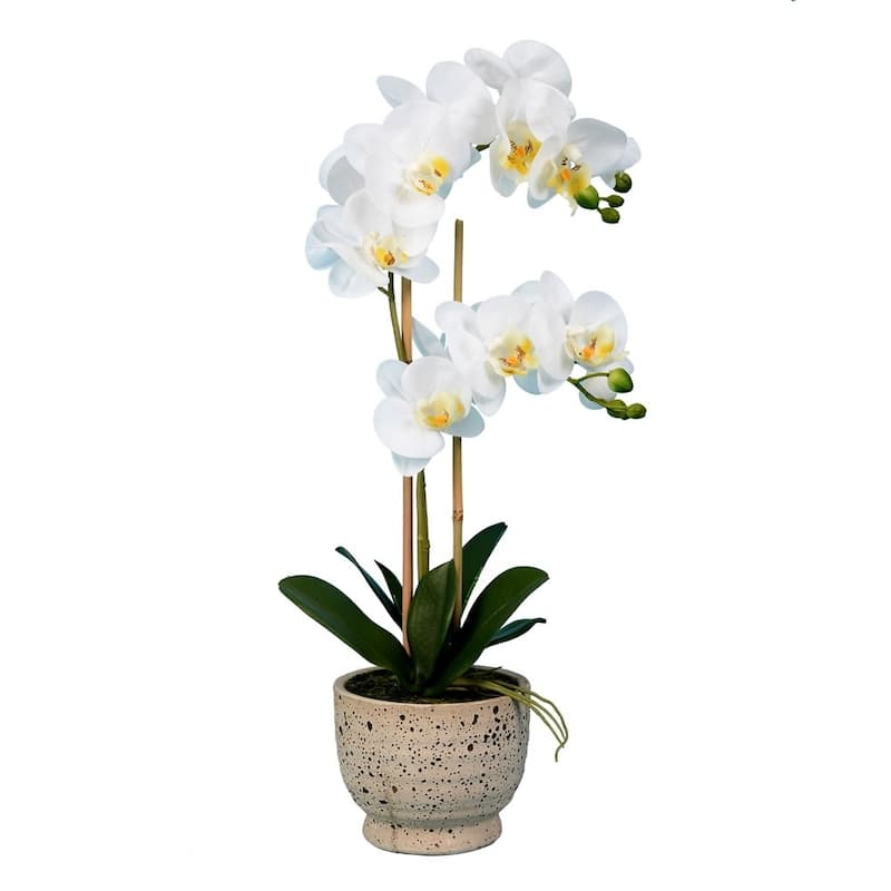 Vickerman 23" White Orchid Floral Arrangement