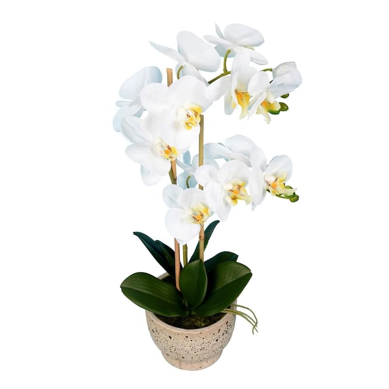 Vickerman 23" White Orchid Floral Arrangement