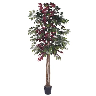 Vickerman 6' Green and Red Capensia Everyday Tree - green / red