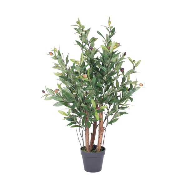 Vickerman 30" Green Olive Everyday Tree On Sale Overstock 20694869
