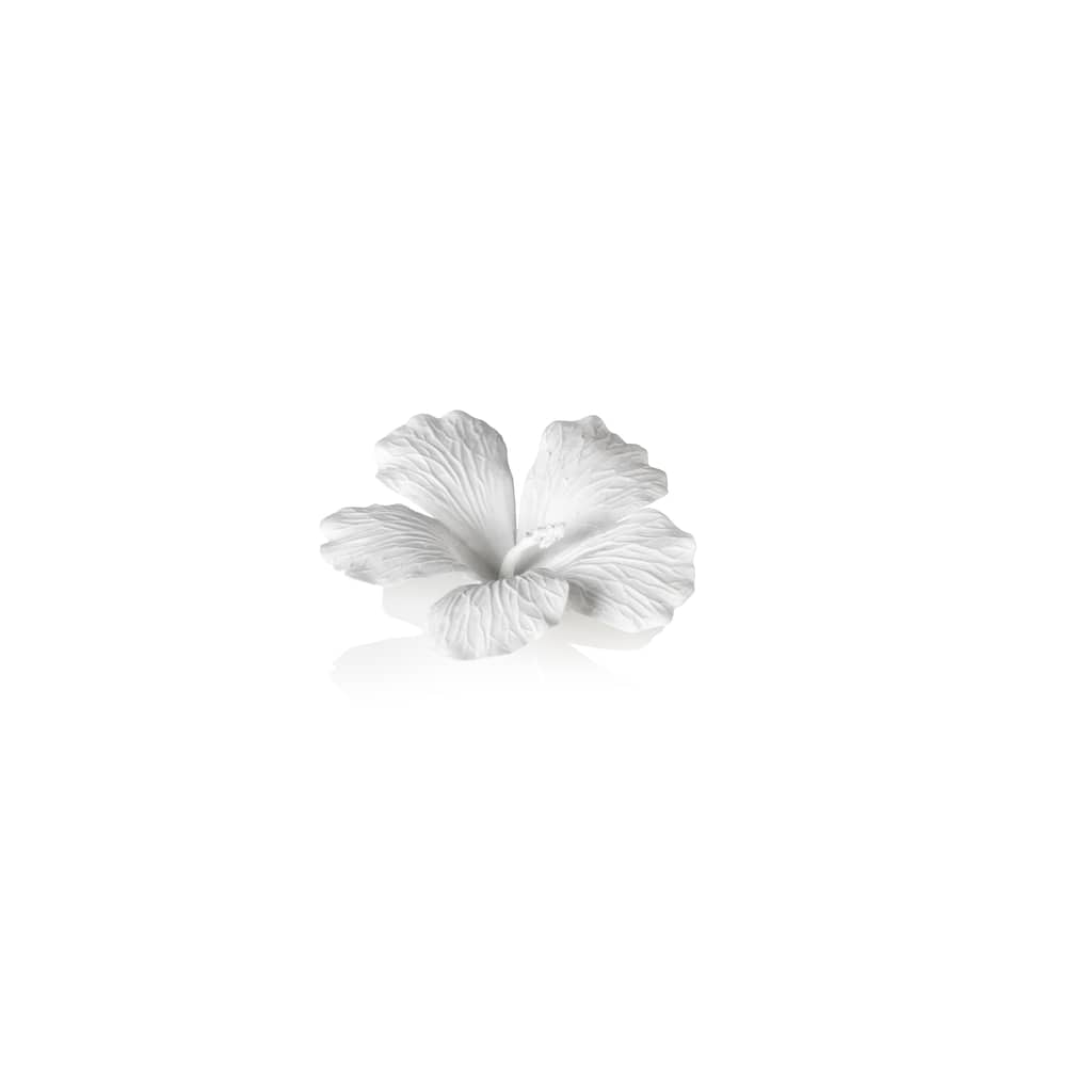 White Bone Wall and Table Décor, China Hibiscus Flower (Set of 3)