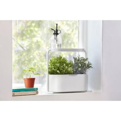 Umbra Giardino Planter White
