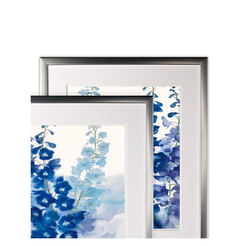 Delphinium -2 Piece Set - Silver Frame