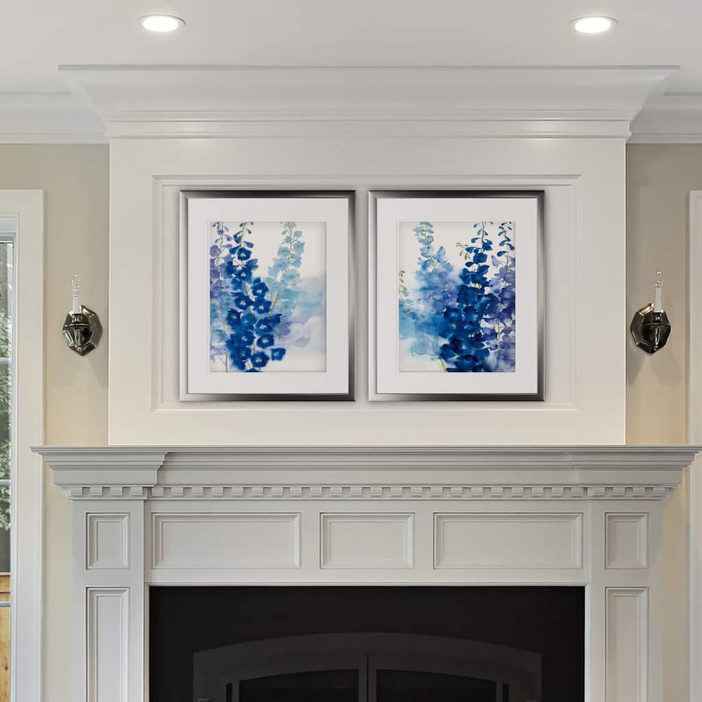 Delphinium -2 Piece Set - Silver Frame