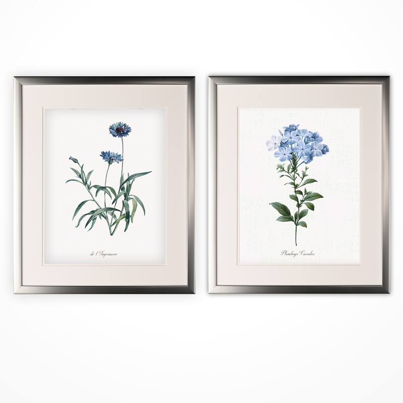 Laurier Rose -2 Piece Set - Silver Frame