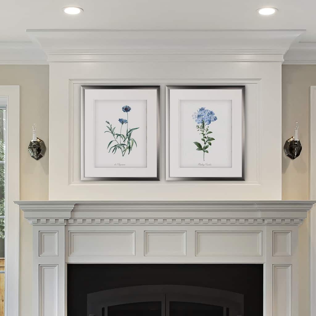 Laurier Rose -2 Piece Set - Silver Frame