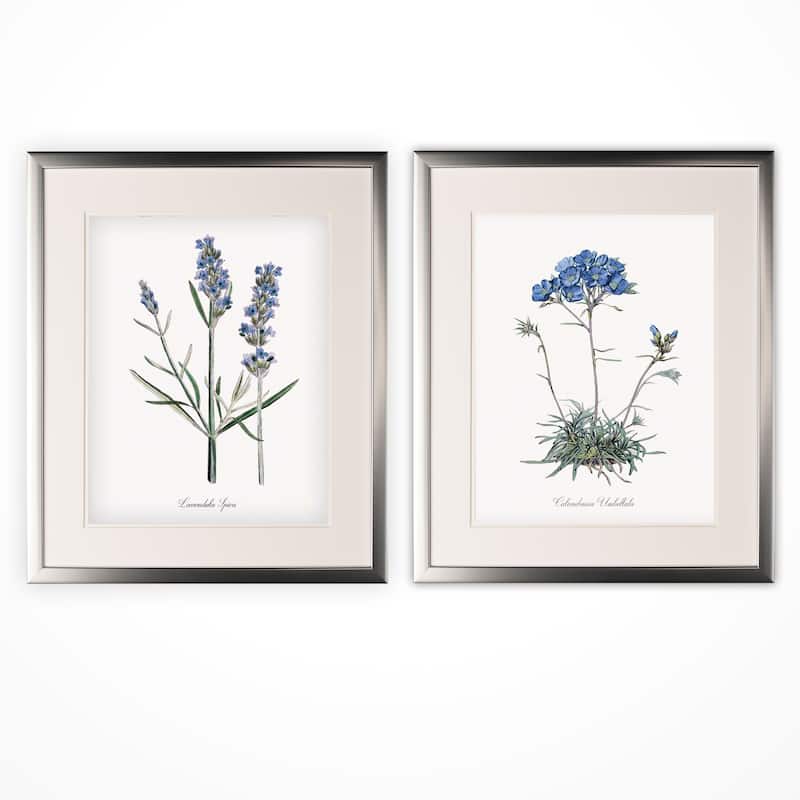 Imperial Blue -2 Piece Set - Silver Frame