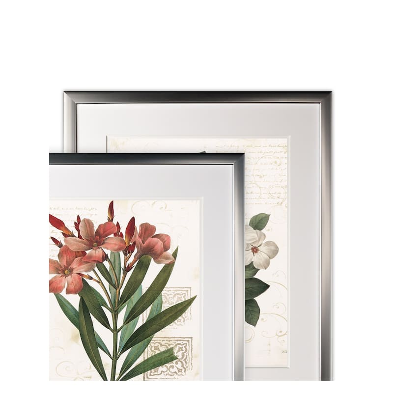 Scarlet Botanical I -2 Piece Set - Silver Frame