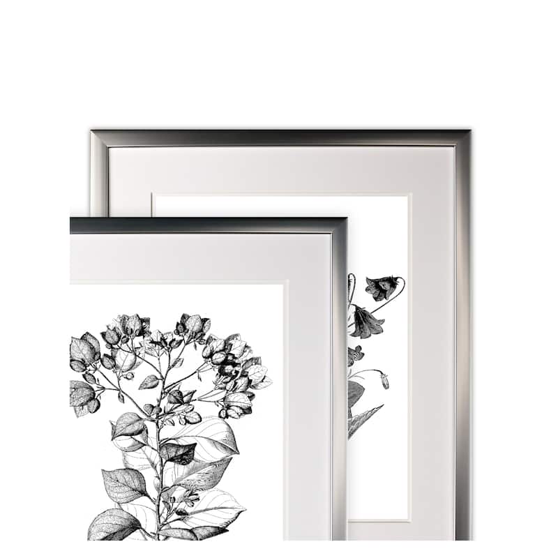 Botanical Black and White -2 Piece Set - Silver Frame