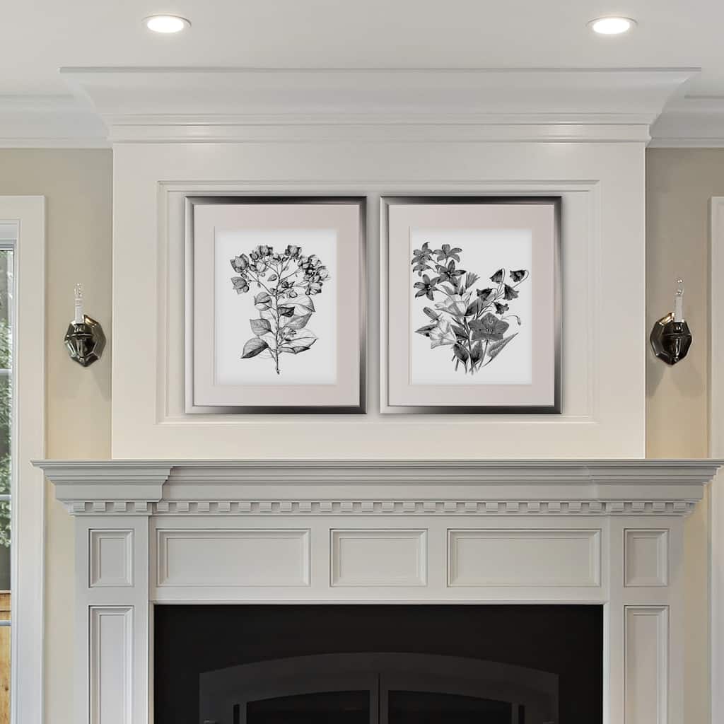 Botanical Black and White -2 Piece Set - Silver Frame
