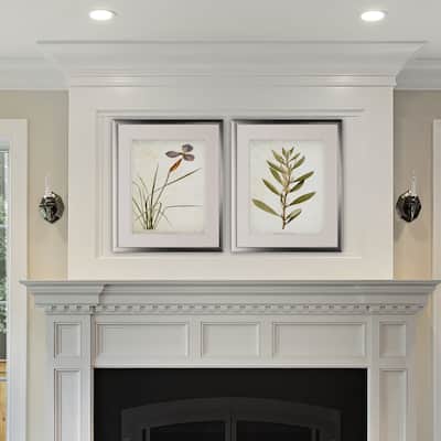 Vintage Botanical Sketch V -2 Piece Set - Silver Frame