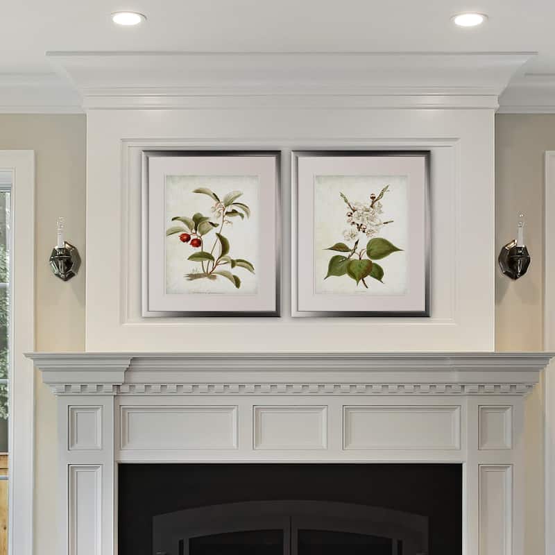 Vintage Botanical Sketch IV -2 Piece Set - Silver Frame