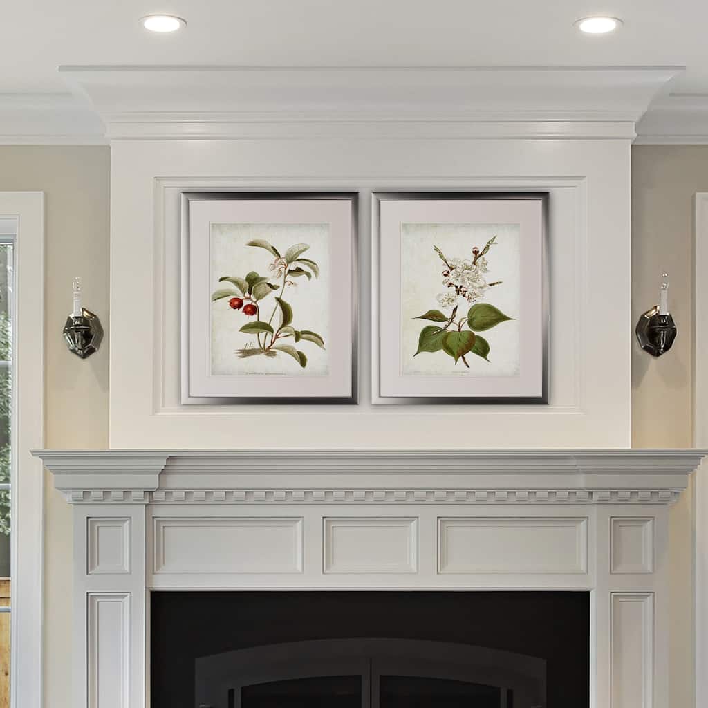 Vintage Botanical Sketch IV -2 Piece Set - Silver Frame