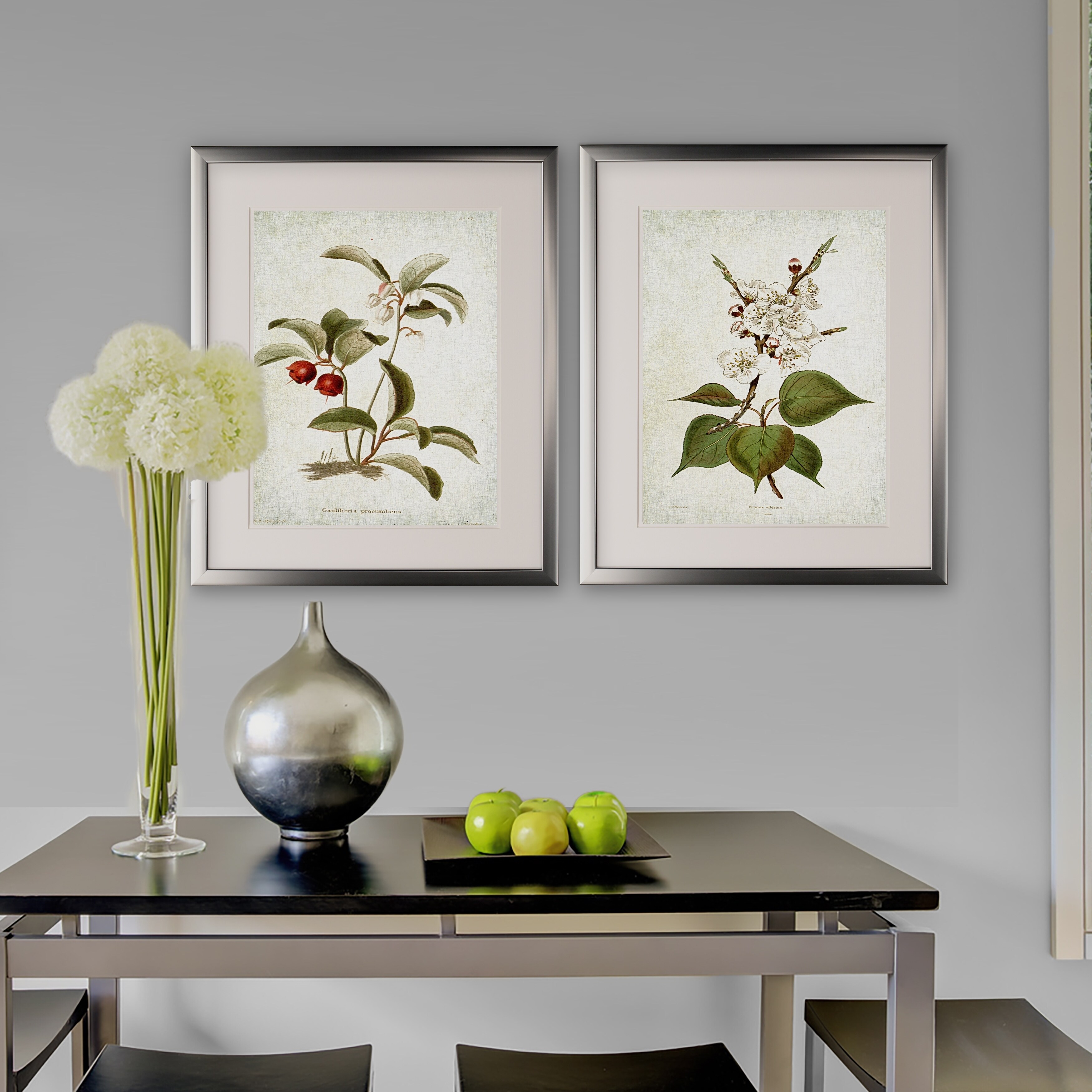 botanical☆ Vintage Botanical Sketch IV -2 Piece Set - Silver Frame - On