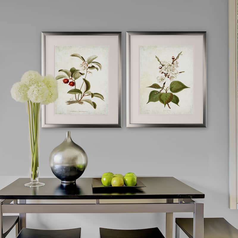 Vintage Botanical Sketch IV -2 Piece Set - Silver Frame