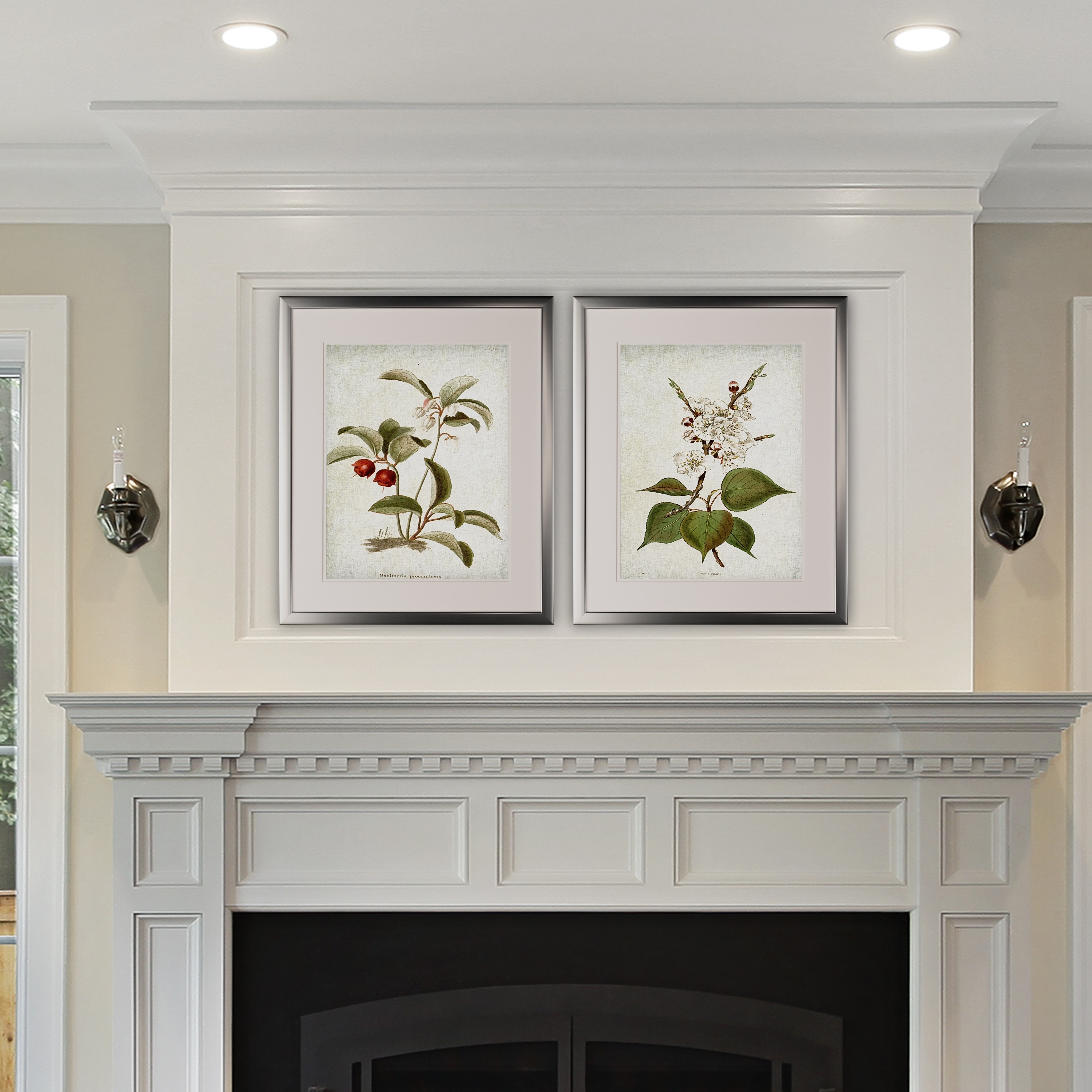 botanical☆ Vintage Botanical Sketch IV -2 Piece Set - Silver Frame - On