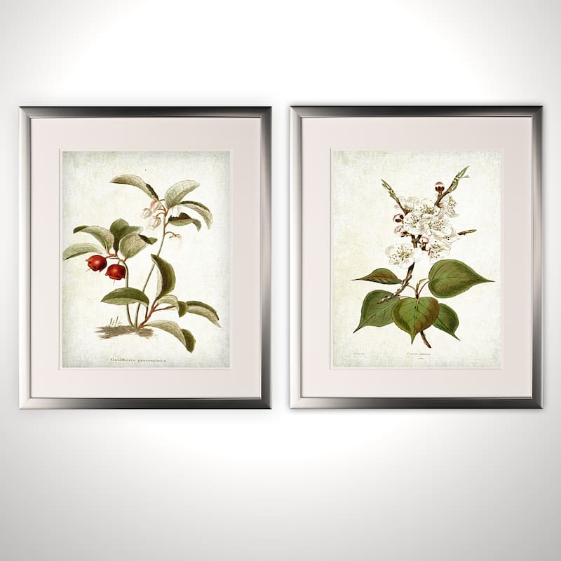 Vintage Botanical Sketch IV -2 Piece Set - Silver Frame