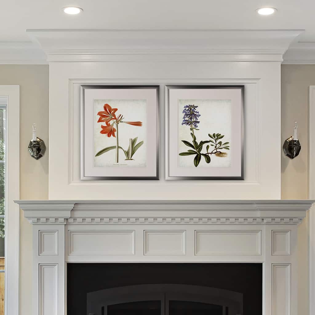 Vintage Botanical Sketch II -2 Piece Set - Silver Frame