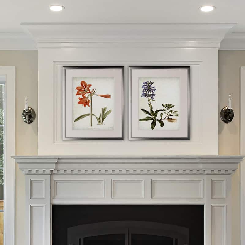 Vintage Botanical Sketch II -2 Piece Set - Silver Frame
