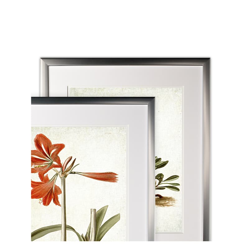 Vintage Botanical Sketch II -2 Piece Set - Silver Frame