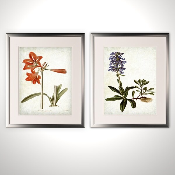 botanical☆ Vintage Botanical Sketch II -2 Piece Set - Silver Frame - On Sale