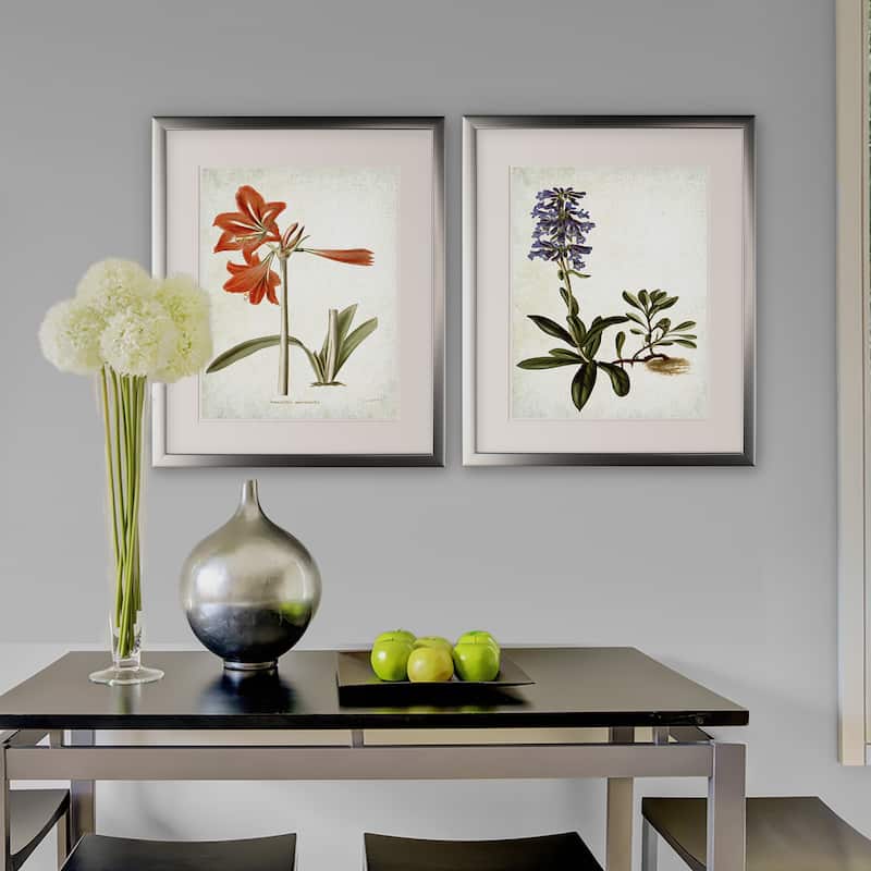 Vintage Botanical Sketch II -2 Piece Set - Silver Frame