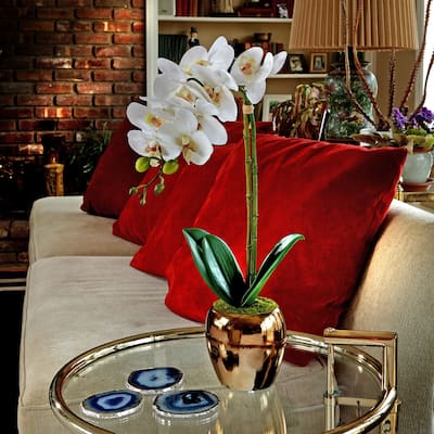 21 Inch White Orchid in Gold Vase