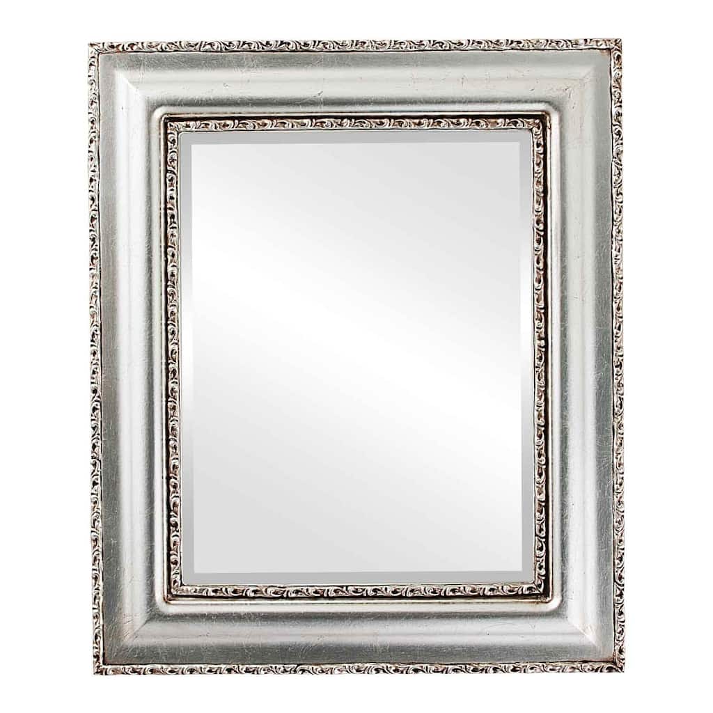 Somerset Framed Rectangle Mirror in Silver Leaf with Brown Antique - Silver/Brown