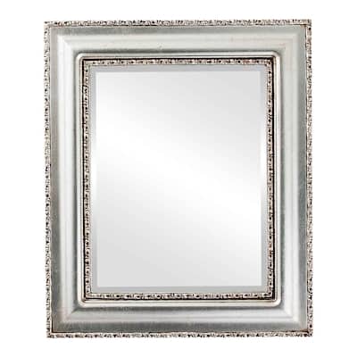 Somerset Framed Rectangle Mirror in Silver Leaf with Brown Antique - Silver/Brown