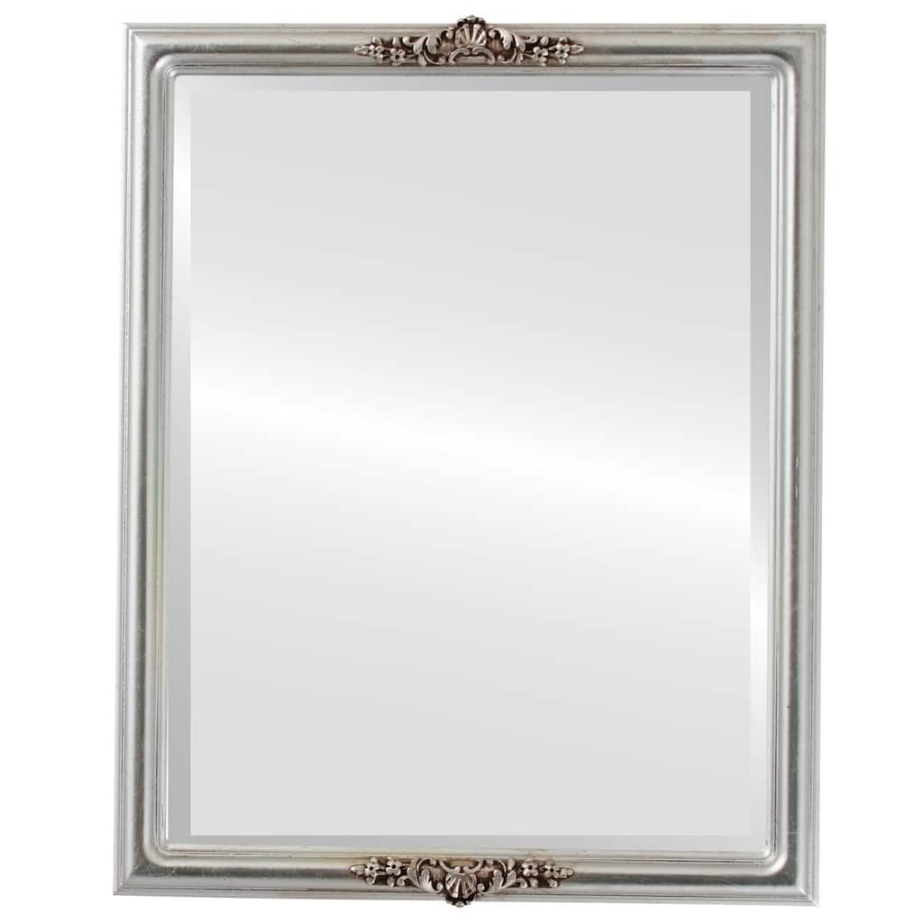 Contessa Framed Rectangle Mirror in Silver Leaf with Brown Antique - Silver/Brown