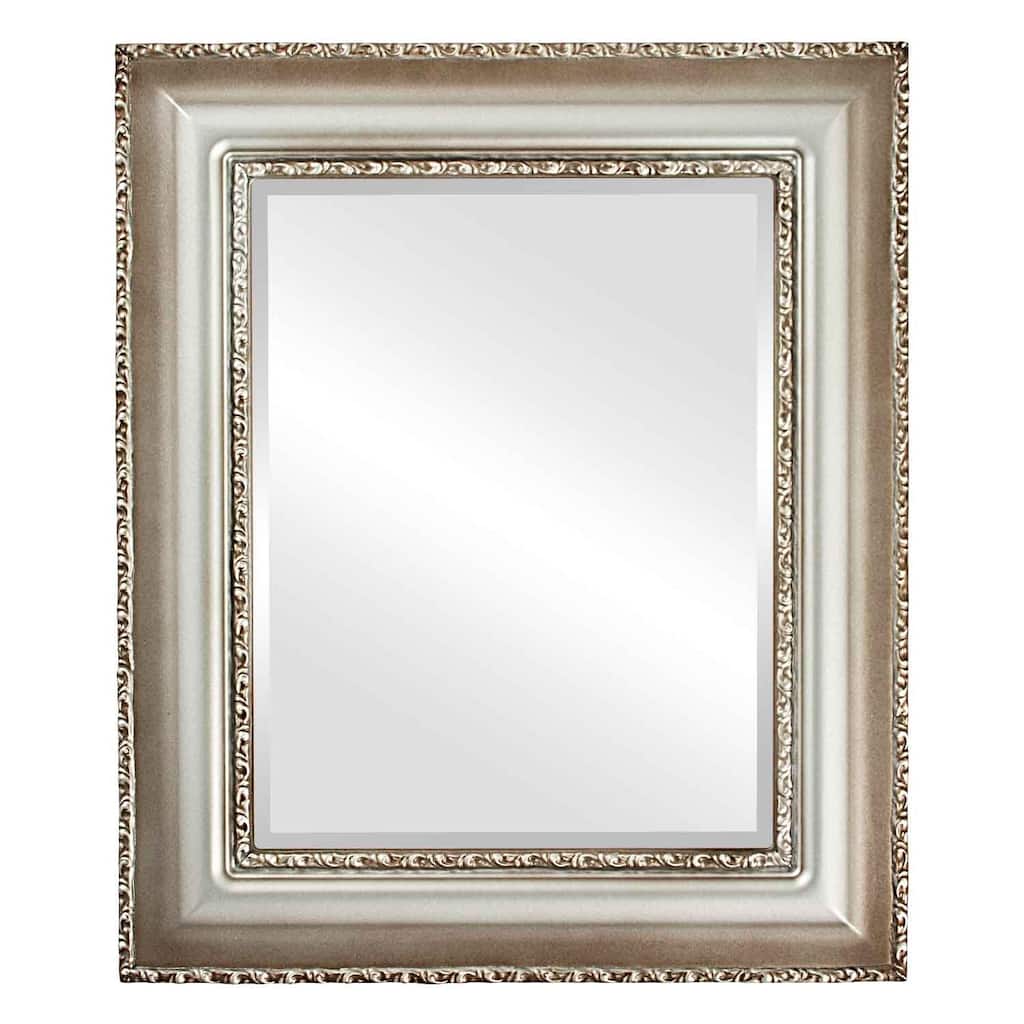 Somerset Framed Rectangle Mirror in Silver Shade - Silver/Brown