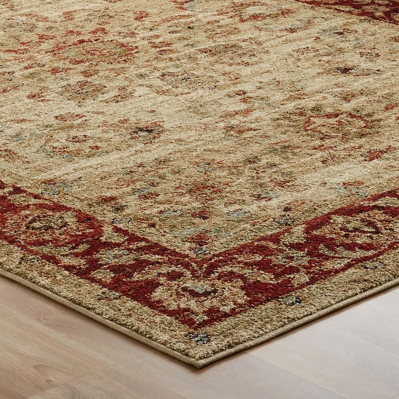Copper Grove Gouraud Border Area Rug
