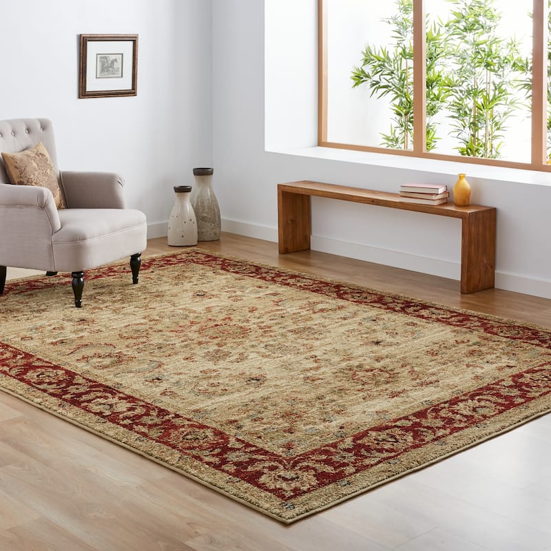 Copper Grove Gouraud Border Area Rug