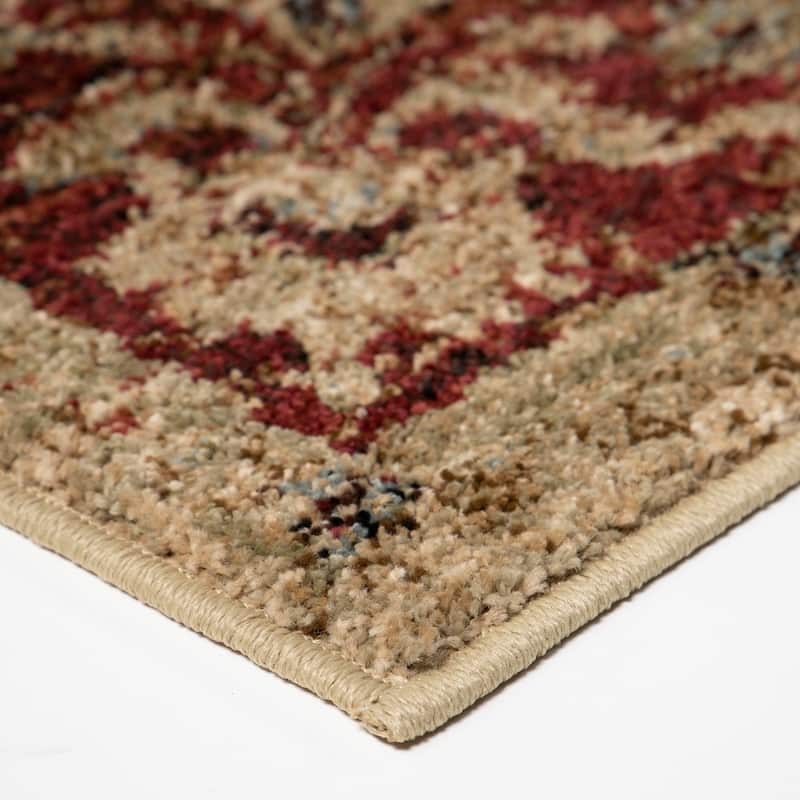 Copper Grove Gouraud Border Area Rug