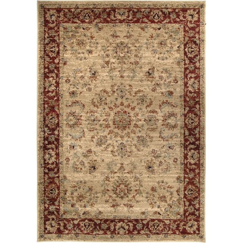 Copper Grove Gouraud Border Area Rug