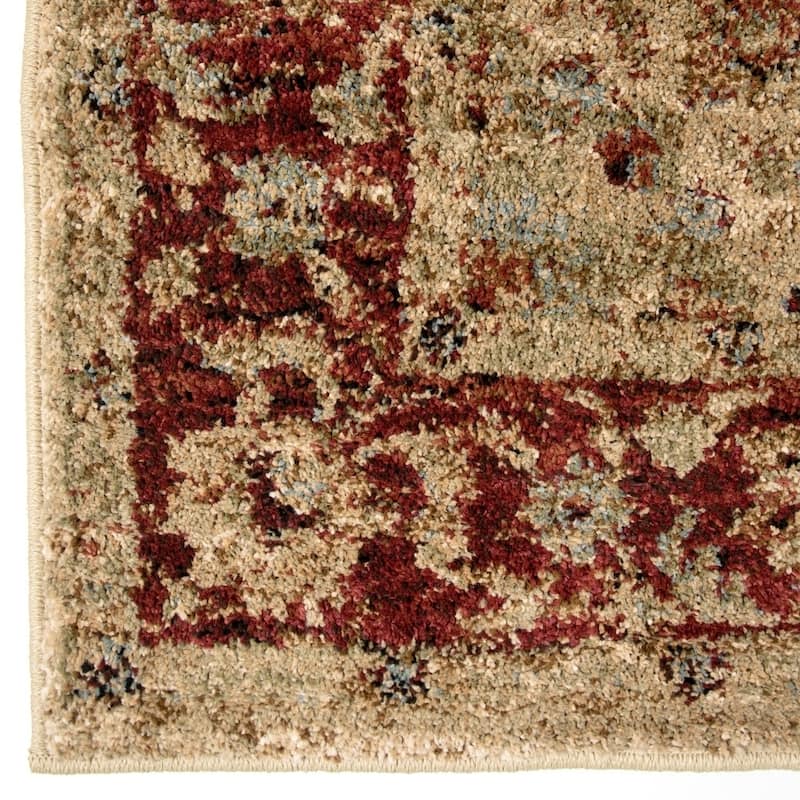 Copper Grove Gouraud Border Area Rug