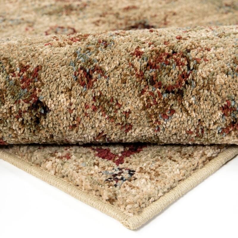 Copper Grove Gouraud Border Area Rug