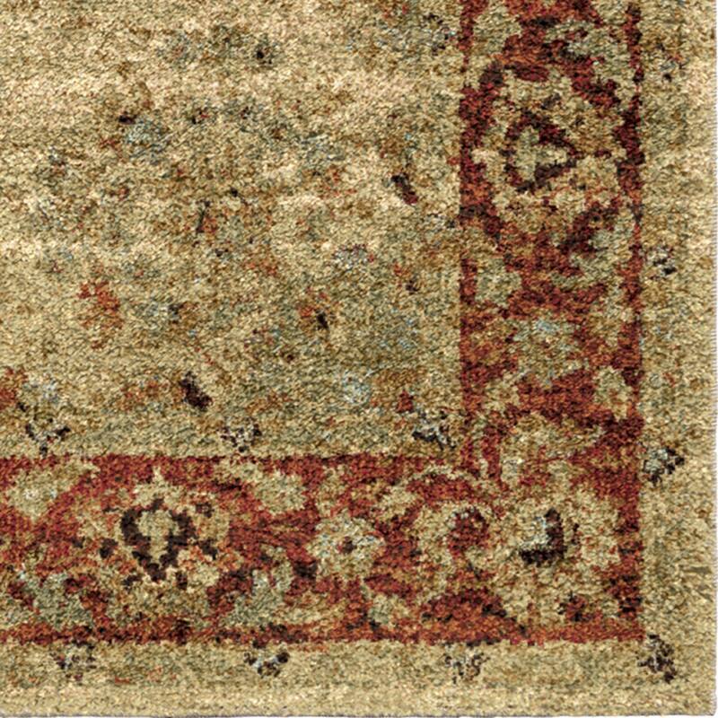Copper Grove Gouraud Border Area Rug