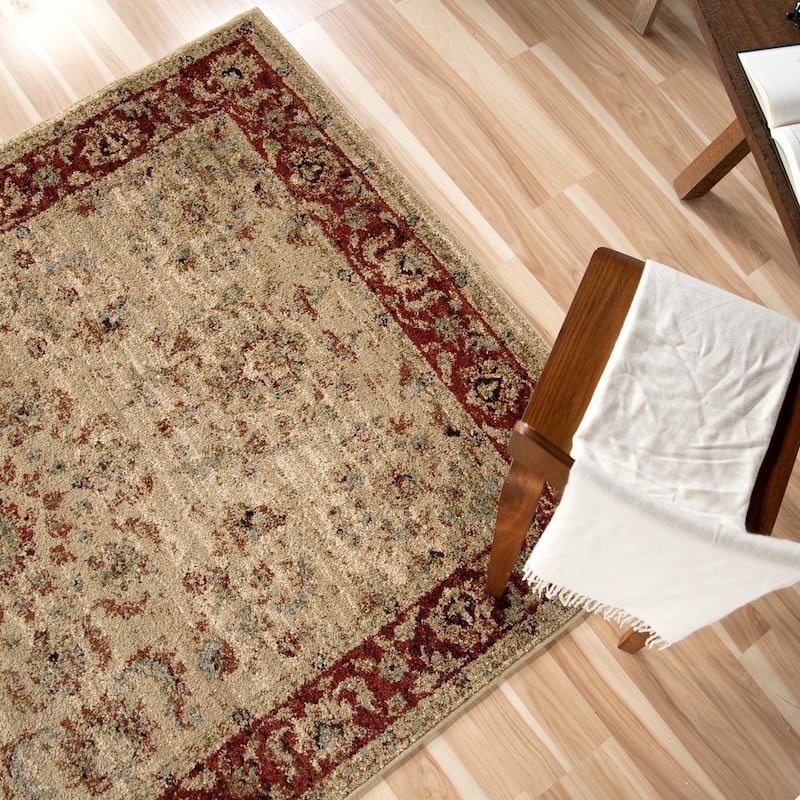 Copper Grove Gouraud Border Area Rug