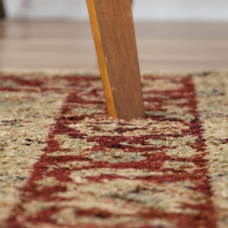 Copper Grove Gouraud Border Area Rug