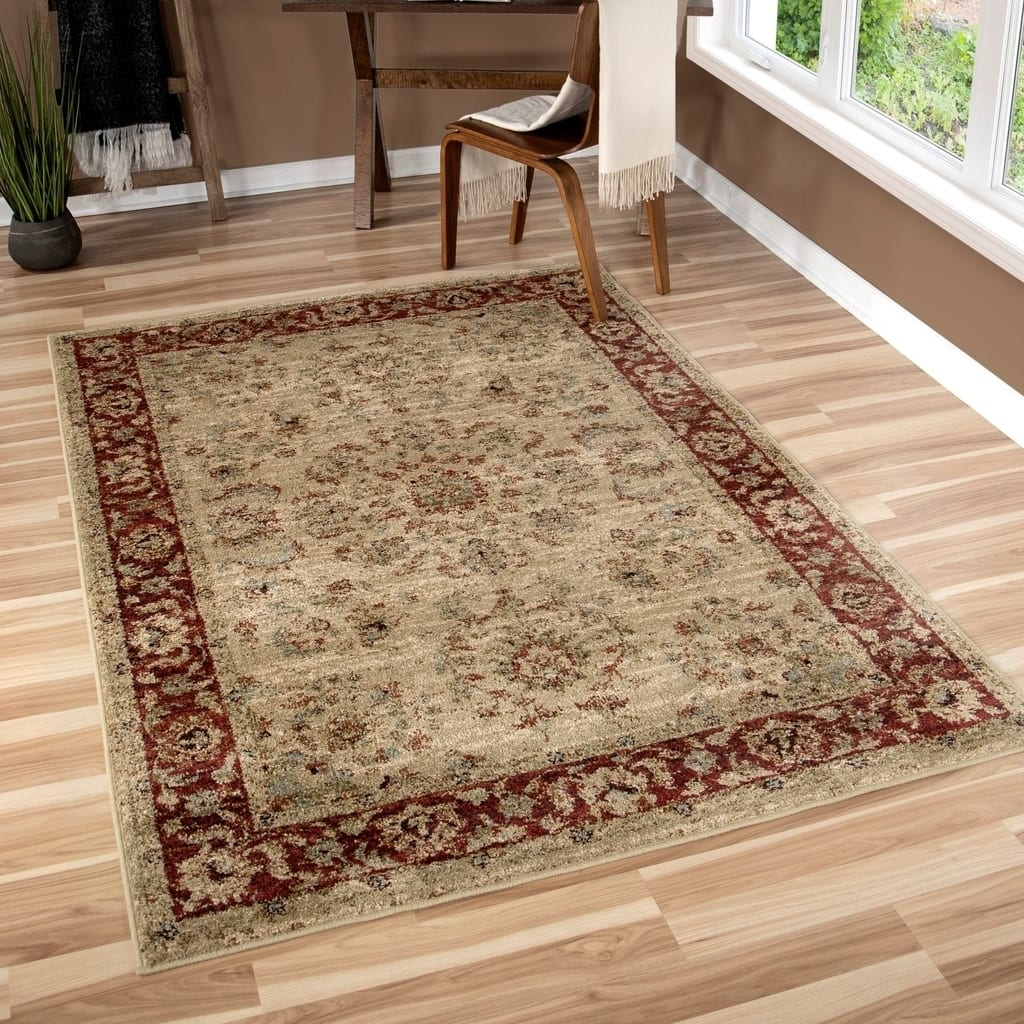 Copper Grove Gouraud Border Area Rug