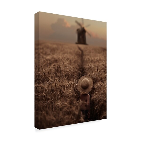 Dubnitskiy David 木製アートボード David Dubnitskiy 'The Boy In The Field' Canvas Art - Bed Bath